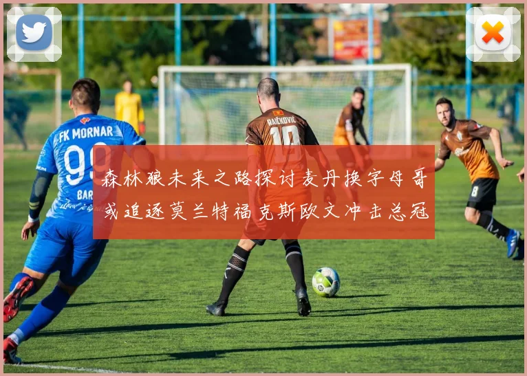 森林狼未来之路探讨麦丹换字母哥或追逐莫兰特福克斯欧文冲击总冠军